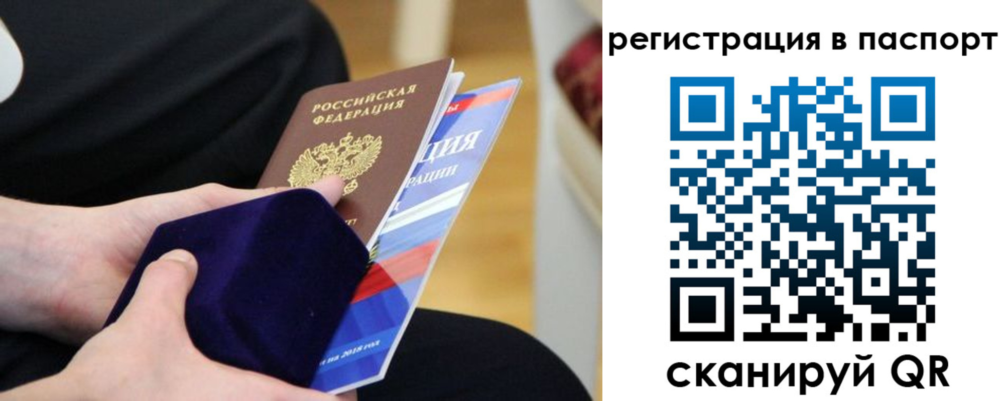 прописка в квартире в Алексеевке